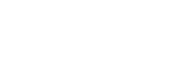 FLASH-4
